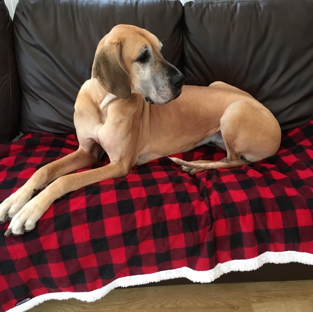 Catalonia Waterproof Blanket for Baby, Pee Proof Pet Cover for Couch Bed, Reversible Sherpa Fleece Throws for Relaxing Traveling Camping, Buffale Red/Tuape, 60"" x 50"".