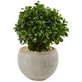 thumbnail image 2 of Nearly Natural 2‚„ Eucalyptus Silk Plant in Sand Colored Bowl, Green, 2 of 2