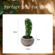 thumbnail image 2 of Planta de simulación planta en maceta simulación flor cactus bonsai decoración creativa planta verde, 2 of 5