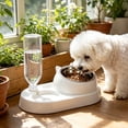 thumbnail image 2 of Pet Bowl Plastic Auto Water Dispenser Double Drinking Station No Spill Non-Slip for Small Medium Dogs Cats by MPOISVA, 2 of 7