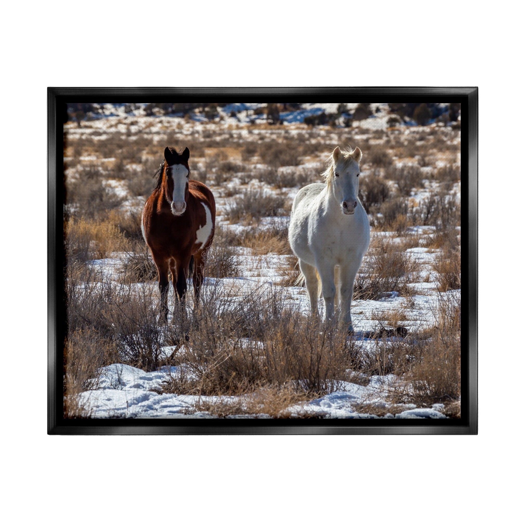Stupell Industries Pair Horses Walking Through Snow Dusted Grassland Photograph Luster Gray Floating Framed Canvas Print Wall Art, Design by Jeff Poe Photography
