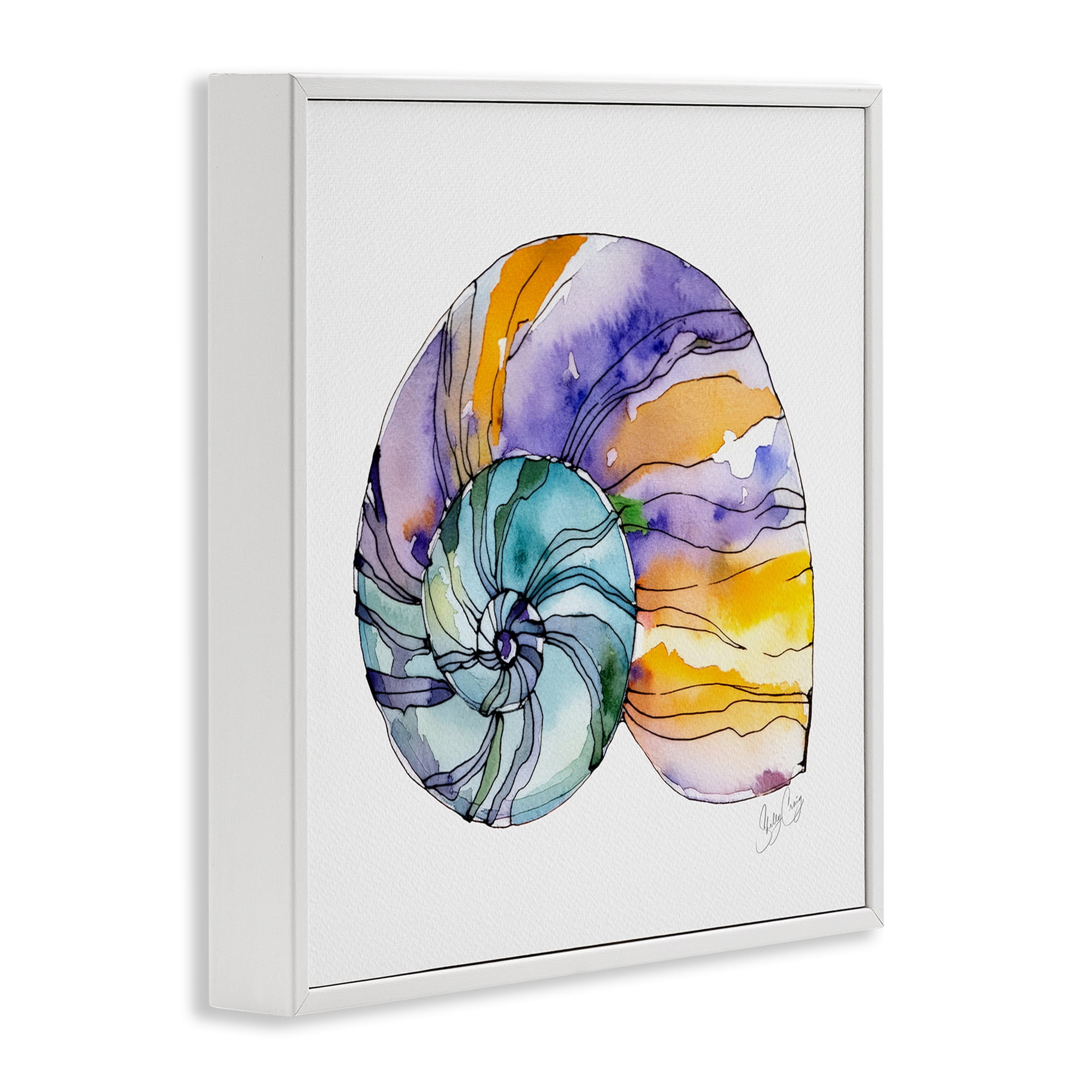 Stupell Industries Sunlit Striped Nautilus White Framed Giclee Art, design by Shelly Craig