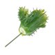 thumbnail image 4 of Planta artificial,artificial Suculento,tacto verdadero de la planta,Falso Suculento,Decoración floral,planta de plástico, 4 of 8