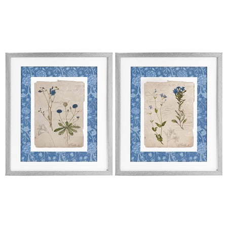 Stupell Industries Blue Botanical Herbs 2 Piece Gray Framed Print Under Glass Set design by Livi Finn