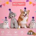thumbnail image 3 of Hukapapa 3 paquetes de mini sombrero de cumpleaños para perros pequeños, sombreros de fiesta para gatos, diadema para el cuidado de cumpleaños de mascotas, accesorios estilo 4, 3 of 5