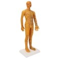 thumbnail image 1 of Acupoint Body Model, Human Body Acupuncture Model 53cm TCM  for Practice, 1 of 7