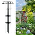 thumbnail image 1 of bifavgk Cap Design 75 cm Plastic Plant Rack Climbing Vines Rose Lematis Support Cage, 1 of 9