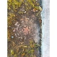 thumbnail image 2 of Grayscale 19x24 White Modern Wood Framed Museum Art Print Titled - Utility Cover VII, 2 of 4