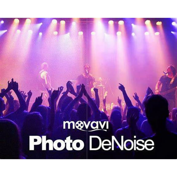 Movavi Photo DeNoise Business Edition (Email Delivery) 1 user for Mac