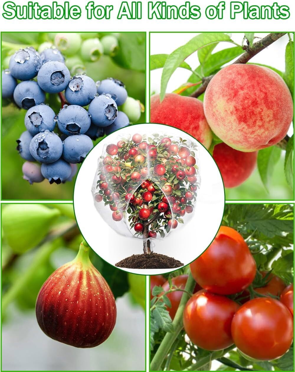 LQQBOX 1PCS Fruit Tree Netting with Drawstring and Zipper, 6.56 x 7.87 FT Blueberry Bush Netting Cover, Garden Bird Netting Plant Cover for Protect Plant Fruit Flower from Birds, Bugs, Cicadas