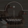 thumbnail image 4 of Avian X Topflight Specklebelly Floating Goose Decoys with True to Life Postures, 4 of 12