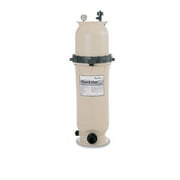 Pentair 160317 Clean and Clear Replacement Pool Filter Pump Cartridge Assembly