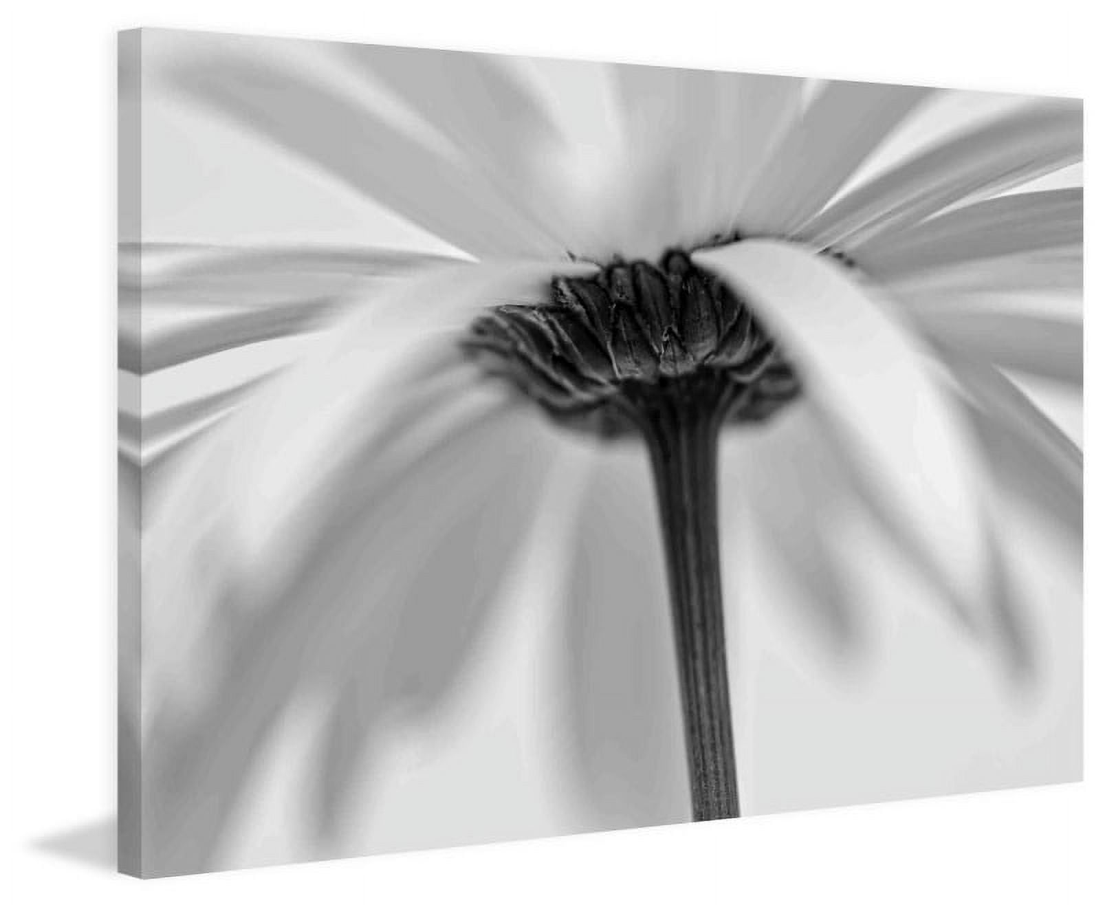 Marmont Hill 'Tenderly' by Don Schwartz Painting Print on Wrapped Canvas