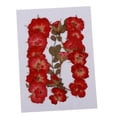 thumbnail image 1 of Flores secas naturales perfecl Colecciones Orgánicas DIY Arte de Scrapbooking Decoraciones Florales, 1 of 8