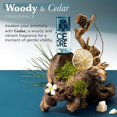 thumbnail image 2 of Perfume Solinotes Cedarwood Eau De Parfum, 15 ml, para hombre, 2 of 9