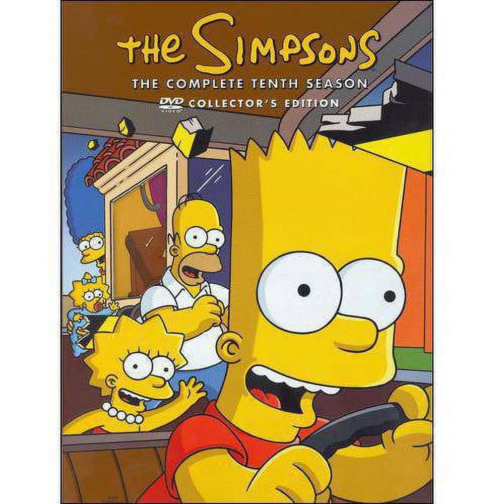 Simpsons: Complete Season 8 - Animated Hi Jinx, Springfield Family