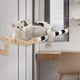 thumbnail image 4 of Percha para ventana de gato Zulema hamaca resistente para gatos Asiento de ventana 60 cm x 39,5 cm x 21,5 cm, 4 of 8