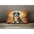 thumbnail image 4 of Carolines Treasures DAC1019PW1216 16 x 12 in. Unisex Bernese Mountain Dog Fall Fabric Decorative Pillow, 4 of 4