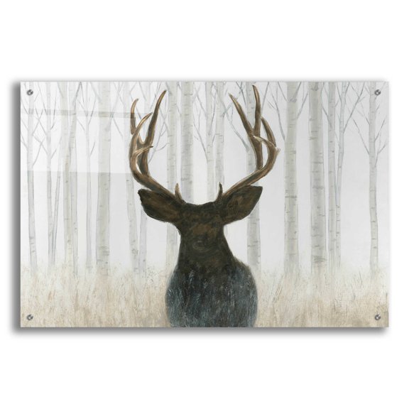 Epic Art 'Into the Forest' by James Wiens, Acrylic Glass Wall Art, 36"x24"