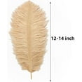 thumbnail image 3 of Large Champagne Ostrich Feathers - 24pcs 12-14inch Boho Feathers for Vase and Home Decor Wedding Party Centerpieces, 3 of 14