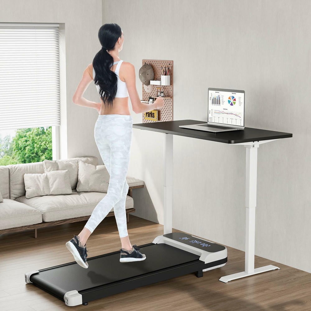 Barara King 2.5HP Walking Treadmill with Remote Control and 3 Countdown Modes, Foldable Treadmill for Indoor, Gym, Living Room, Exercise, White