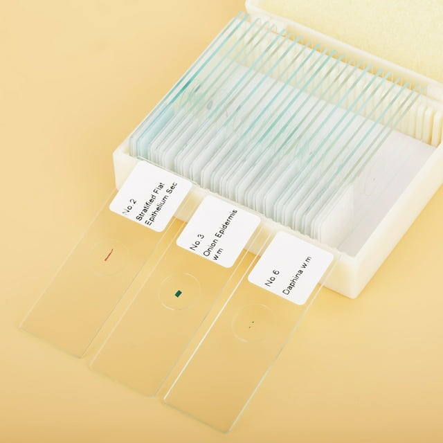 Biology Slide, 25Pcs Microscope Slide, Accurately Stained For Educational Student