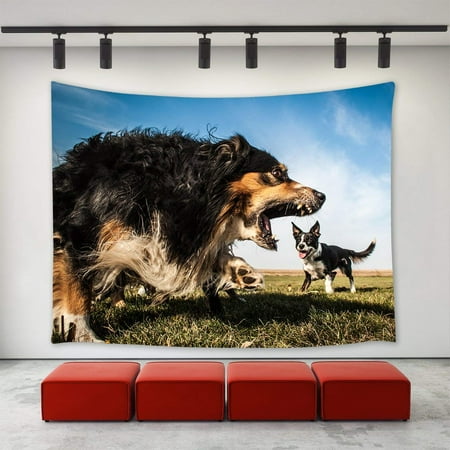 Border Collie Merchandise - CADecor Roaring Dogs Tapestry, Dogs Roar Border Collie Australian Shepherd Wall Tapestry Home Decoration Wall Decor for Bedroom Living Room College Dorm 40x60 inch