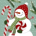 thumbnail image 3 of Barnes, Victoria 20x20 Black Modern Framed Museum Art Print Titled - Peppermint Snowman II, 3 of 5