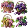 thumbnail image 2 of Pegatinas clásicas de uva refrescante Three Ratels CO103 para decoración de cocina, calcomanías para refrigeradores, calcomanías para ventanas de tiendas de postres, 2 of 5