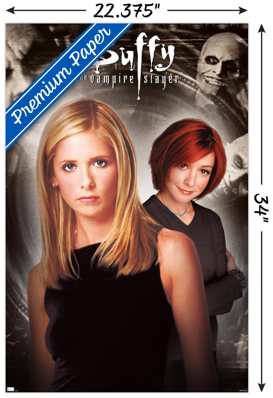 Buffy the Vampire Slayer - Season 4 One Sheet Wall Poster, 22.375" x 34"