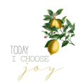 thumbnail image 3 of Allen, Kimberly 12x14 Black Modern Framed Museum Art Print Titled - Today I Choose Joy, 3 of 5