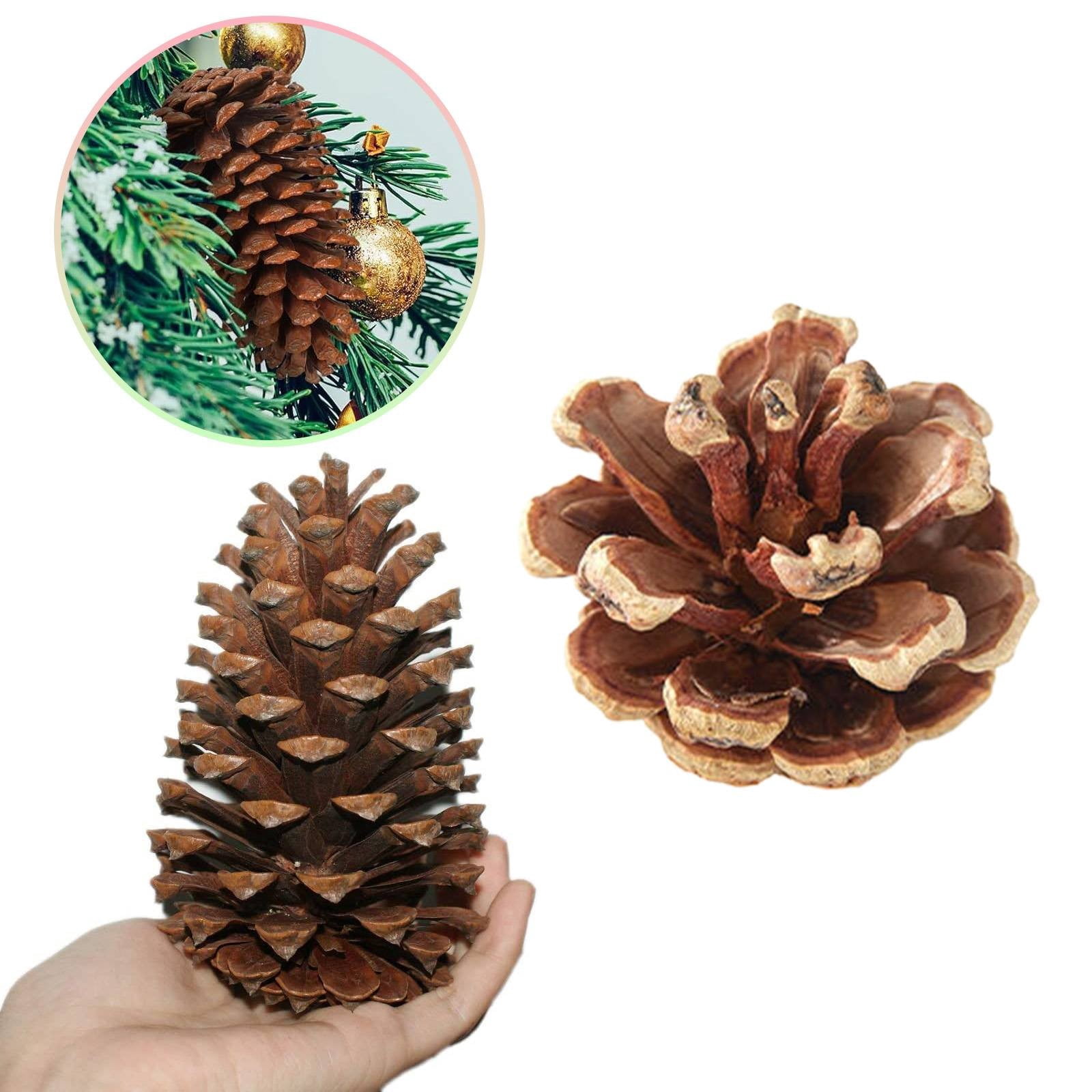 20 Natural Pine Cones For Christmas Decor - 10-14cm Dried Pinecones With String For Tree, Wreath, Crafts