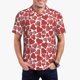 thumbnail image 1 of Fotbe Hearts Camiseta Polo de Golf para Hombre con Estampado – Camisa Deportiva Transpirable con Cuello Abotonado-Large, 1 of 6