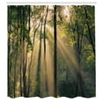 thumbnail image 3 of Ambesonne Nature Shower Curtain, Summertime Countryside, 69"Wx70"L, Green Beige Black, 3 of 5