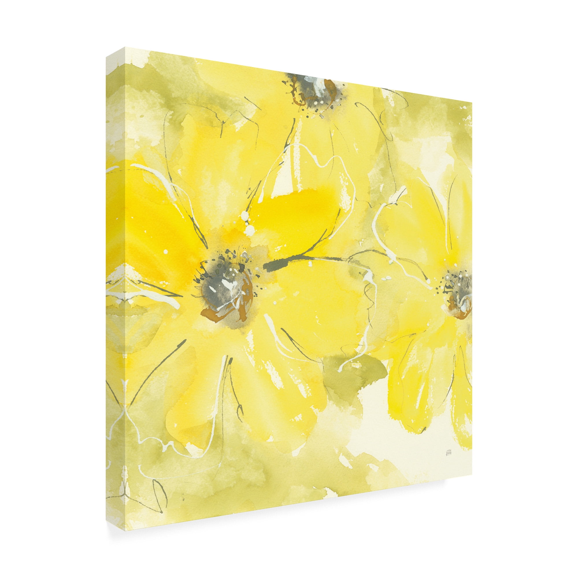 Trademark Fine Art 'Sunshine Cosmos II' Canvas Art by Chris Paschke