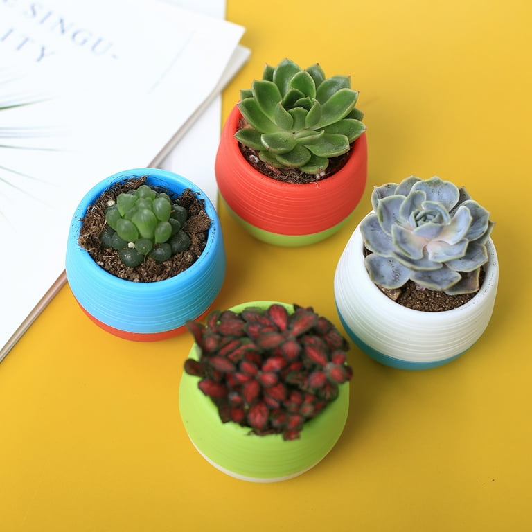 Essence Mini Planters Set of 3 Indoor Small Succulent Planters