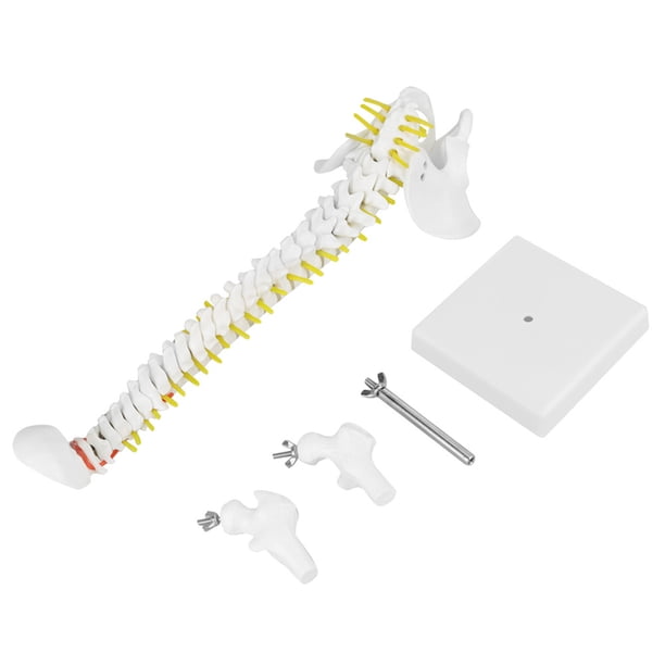 Soporte Trimatic, soporte del cable de la palanca de cambios, compatible con el soporte lateral del pasajero, kit de palanca, solución innovadora Jadeshay A