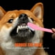thumbnail image 4 of 12 cepillos de dientes para perros, cepillos de dientes para mascotas, cepillos de dientes de doble cabezal para perros, cepillos de dientes bucales para mascotas, 4 of 8