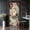Color 1, variant on Door Stickers Peel and Stick Door Mural Paradise tropical beach Mauritius island coastal Removable Wallpaper 30.3''x78.7'' Self-Adhesive Mural for Kitchen Living Room Bedroom Decor