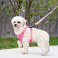 thumbnail image 5 of Vibrant Life  Mesh Adjustable, Reflective Dog Walking Harness, Pink, Extra Small, 5 of 9