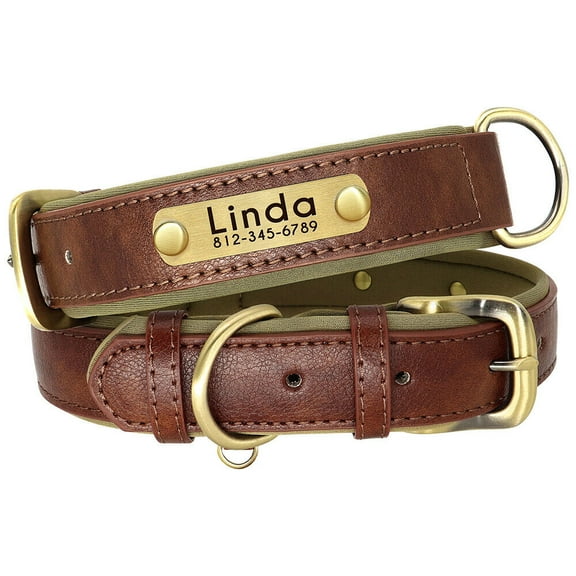 Didog Soft Leather Padded Dog Collar Customized Personalized Adjustable Pet Name and Number Engraved