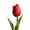 Red, variant on Mini Tulip Artificial Bouquet 35.5cm Orange – Lifelike Plastic Fake Flowers for Wedding Party Home Office Table Centerpiece