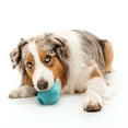 thumbnail image 4 of Play by Playology | Knuckle Chew Ball with Crunch for Large Dogs, Peanut Butter Scent, 4 of 8