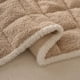 thumbnail image 5 of Decoraciones de Otoño para el Hogar Espesado Cojines de Sofá de Peluche para el Otoño Y el Invierno Cojines Fijos de asiento Antideslizante para la Decoración Del Sofá Cojines de asiento de Coche, 5 of 6