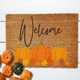 thumbnail image 4 of 16x24 Inch Pumpkin Print Floor Mat Doormat Indoor Mat for Front Door Door Rug Runner Door Mat Indoor Entrance and Outside Doormat Mat for Outside Entry Way Doormat Entry Rugs, welcome, 4 of 5