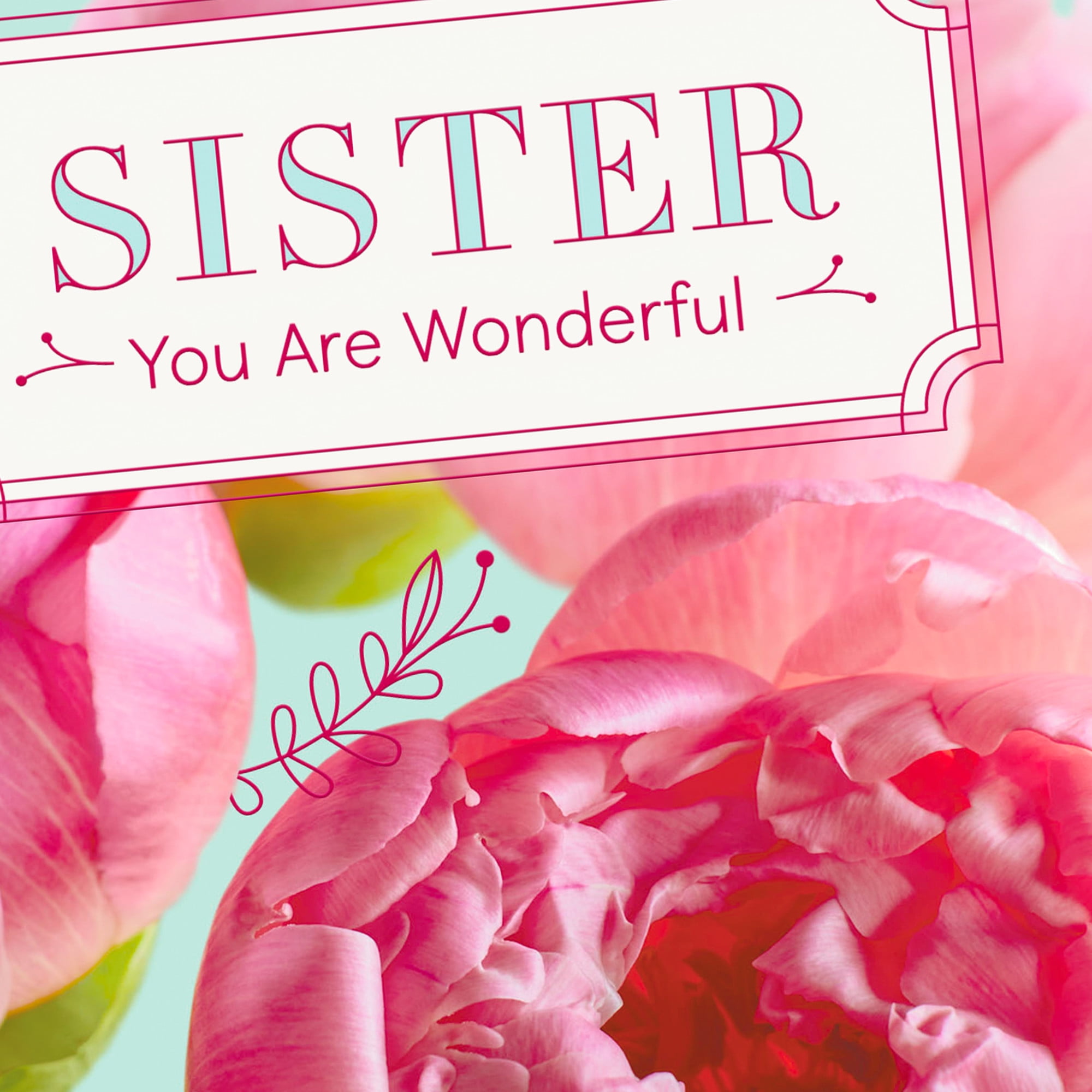 Hallmark Birthday Card for Sister (Hoping You Feel the Love)