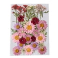 thumbnail image 4 of Flores secas naturales en relieve Billuyoard Tipo 2 5piezas, 4 of 6