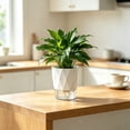 thumbnail image 6 of Small Self Watering Planter, Thickened Plastic Drop Resistant for Mini Herbs, Individual Box Packaging Great Gift Choice, 6 of 6