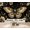 Color 2, variant on Wallpaper Vintage Forest Gothic Dark Academia Celestial Moon Black Peel and Stick Wall Murals 100"H x 144"W Removable PVC Wall Paper Self-Adhesive Wall Paintings Art Decor for Bedroom Living Room