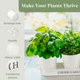 thumbnail image 4 of PERFNIQUE Indoor Herb Garden, Herb Garden Planter for Indoor/Outdoor, Farmhouse Plant Pots, Windowsill Herb Garden Kit with Tray, Window Pots for Indoor Plants (Off White), 4 of 7